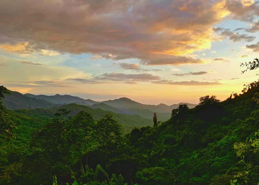 Santa Marta: Minca Coffee, Cocoa, & Waterfall Full-Day Trip - The final trail and return to Santa Marta