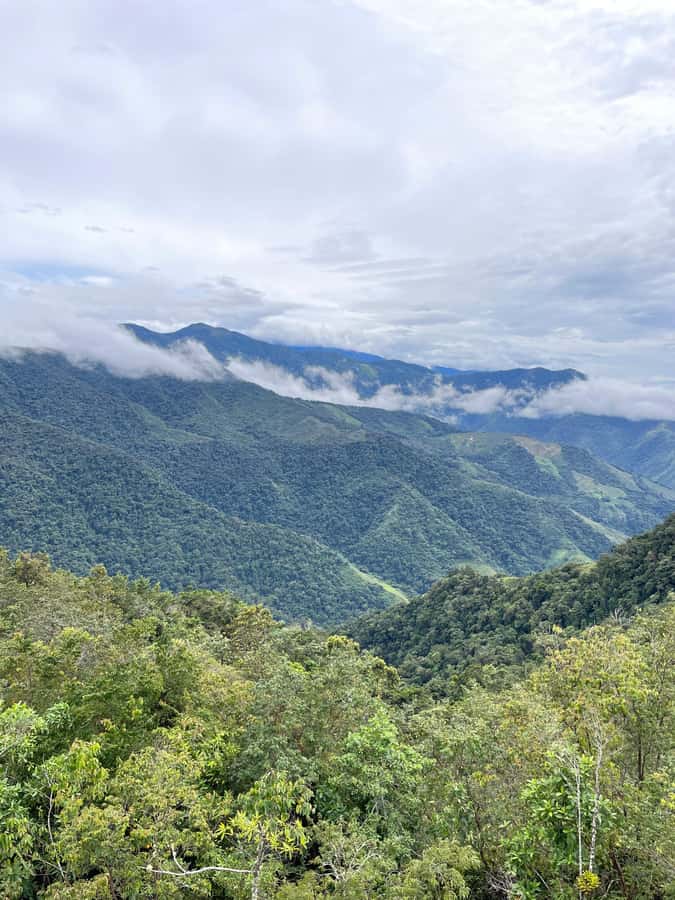 Santa Marta: Minca Coffee, Cocoa, & Waterfall Full-Day Trip - Is the $78 cost good value?