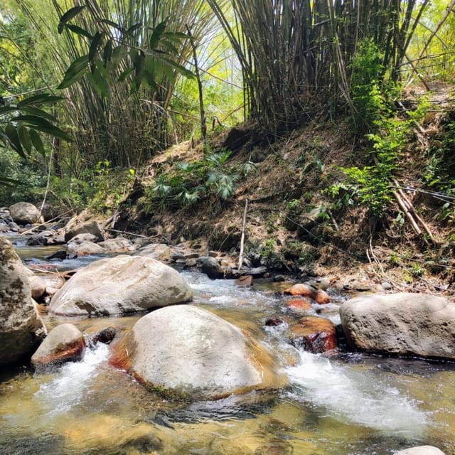Santa Marta: Trekking in Minca Complete Waterfall Circuit - Marinka Waterfalls, the main bathing stop