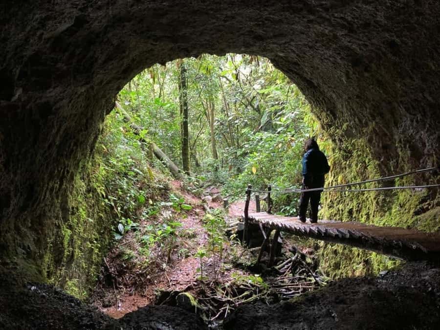 Santa Rita Waterfall and Salento Private Tour - Reaching Santa Rita through forest and tunnels