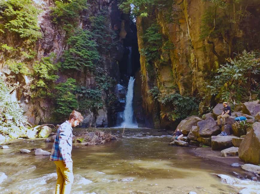São Miguel: Majestic North Tour (Waterfalls w/Lunch) - Key points to know before booking