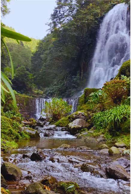 São Miguel: Majestic North Tour (Waterfalls w/Lunch) - From Ponta Delgada to the high slopes of Lagoa do Fogo