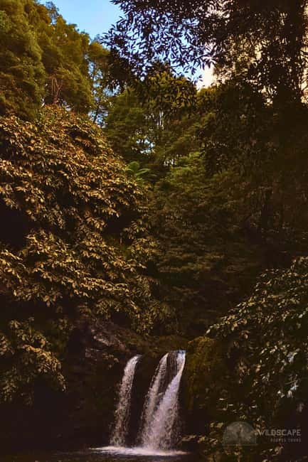 São Miguel: Majestic North Tour (Waterfalls w/Lunch) - Ribeira dos Caldeirões and the island’s moving water