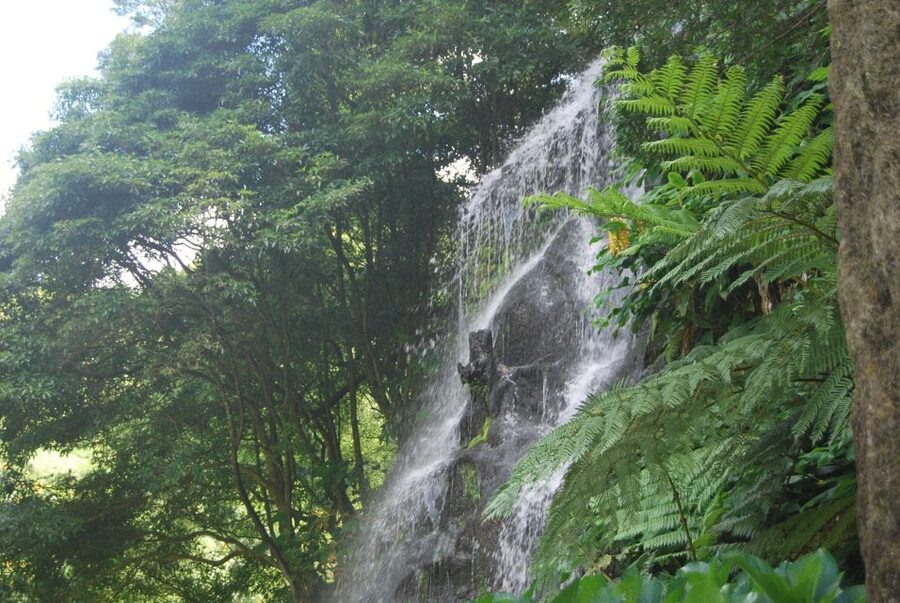 São Miguel: Nordeste, Cliffs & Waterfall Day Trip with Lunch - What makes this Nordeste day trip worth considering