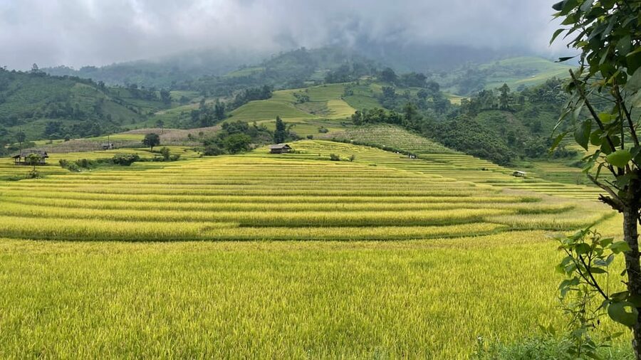 Sapa: Motorbike Tour 1 Day Visit Waterfalls & Local Villages - The final villages and return to Sapa
