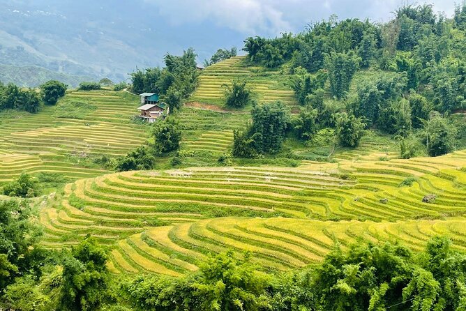 Sapa Motorbike Tour With Local Guide 1 Day - Waterfalls, Villages - Muong Hoa Valley and seven village communities