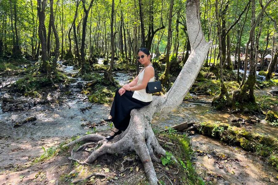 Sarajevo: Jajce Waterfall, Travnik & Pliva Lake Tour - What the $65 price really covers