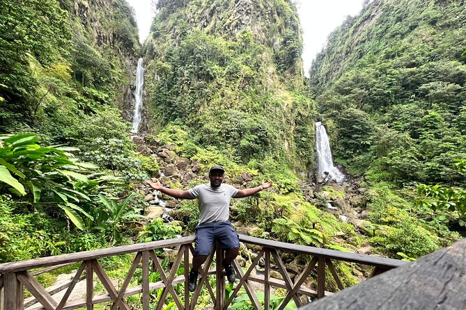 Scenic Tour of City and Rainforest, Waterfall, Sulphur Springs . - Key points to know before booking