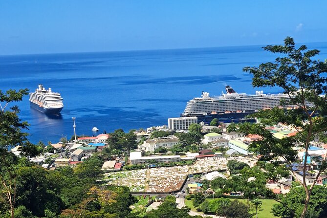 Scenic Tour of City and Rainforest, Waterfall, Sulphur Springs . - A strong first look at Dominica in three to four hours