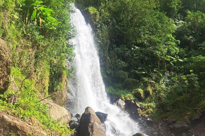 Scenic Tour of City and Rainforest, Waterfall, Sulphur Springs . - Morne Bruce, the best quick view over Roseau