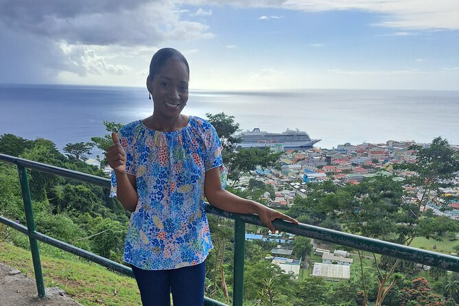 Scenic Tour of City and Rainforest, Waterfall, Sulphur Springs . - Trafalgar Falls and the uphill rainforest walk