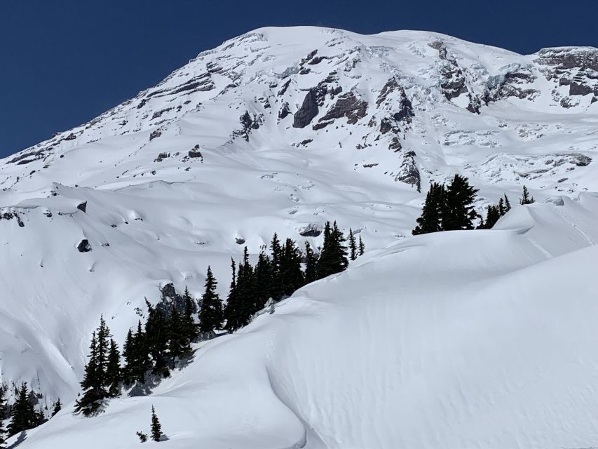 Seattle: Mt. Rainier Park Guided Full-Day Tour - The first mountain views begin on the drive