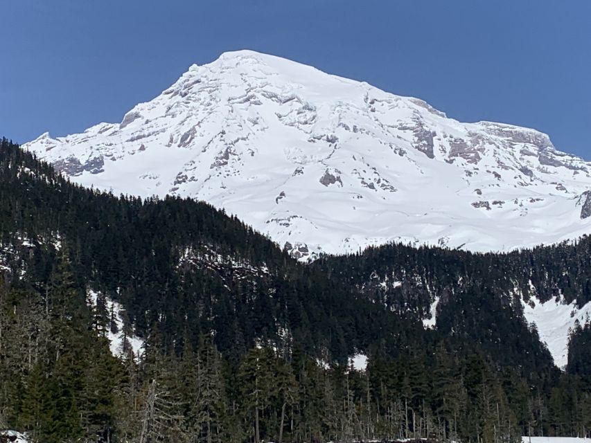 Seattle: Mt. Rainier Park Guided Full-Day Tour - Guides who help shape the day