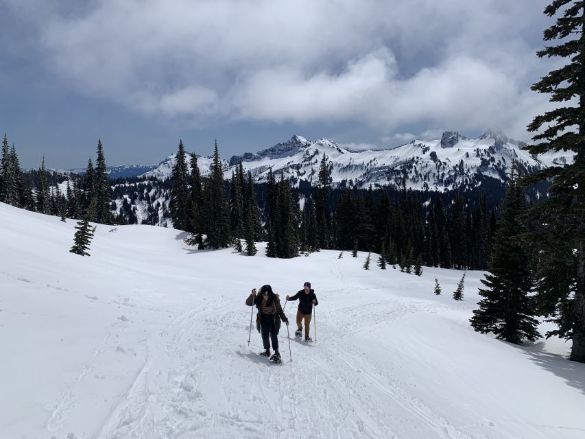 Seattle: Mt. Rainier Park Guided Full-Day Tour - Lunch, rest stops, and what to pack