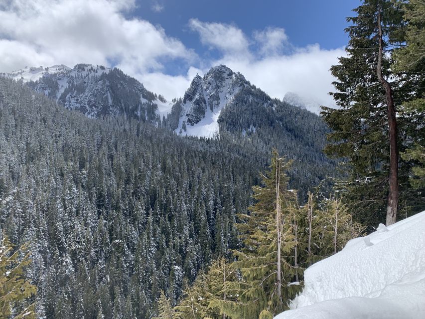Seattle: Mt. Rainier Park Guided Full-Day Tour - Is $179 a fair price?