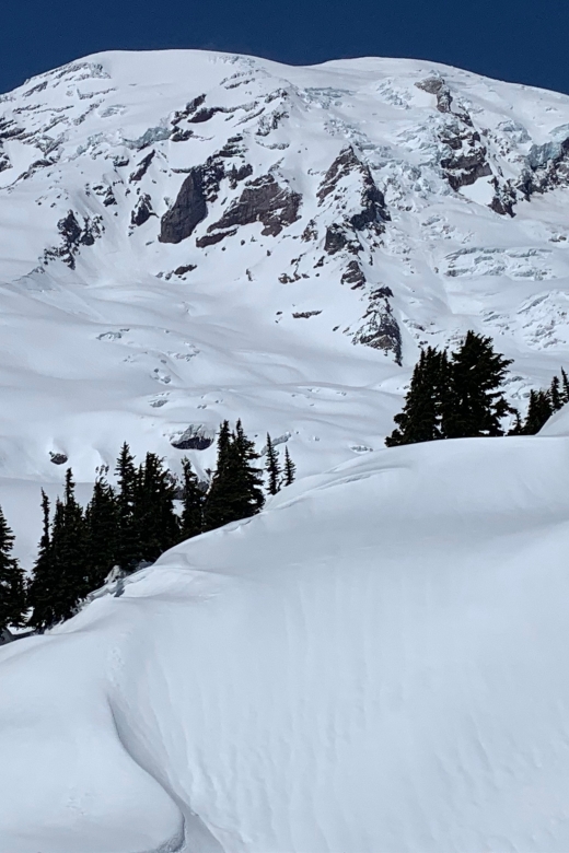 Seattle: Mt. Rainier Park Guided Full-Day Tour - Who should book this experience?