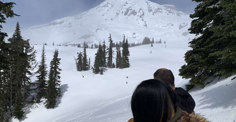 Seattle: Mt. Rainier Park Guided Full-Day Tour - A park day built around variety