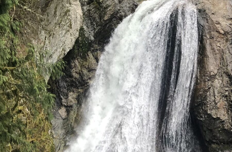 Seattle: Snoqualmie Falls and Twin Falls Guided Tour - What the $75 really buys you