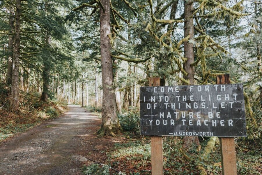 Seattle: Waterfall Wonderland Hike in Wallace Falls Park - Practical packing advice