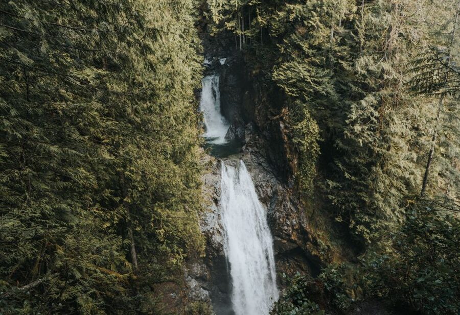 Seattle: Waterfall Wonderland Hike in Wallace Falls Park - Entering Wallace Falls State Park