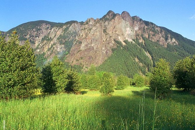 Seattle Wine & Snoqualmie Falls Highlights Tour - Is $119 a good value?