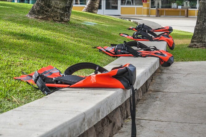 Secret Falls Kayak & Hike Guided Adventure on the Wailua River - Who should book this adventure