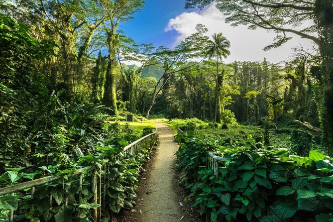 Self guided Hike Trail to Nature Walk & Waterfall - Why Manoa Falls makes a good half-day outing