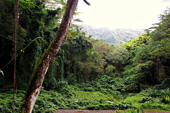 Self guided Hike Trail to Nature Walk & Waterfall - How the guides affect the experience