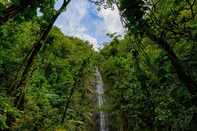 Self guided Hike Trail to Nature Walk & Waterfall - Is $79 a fair price?