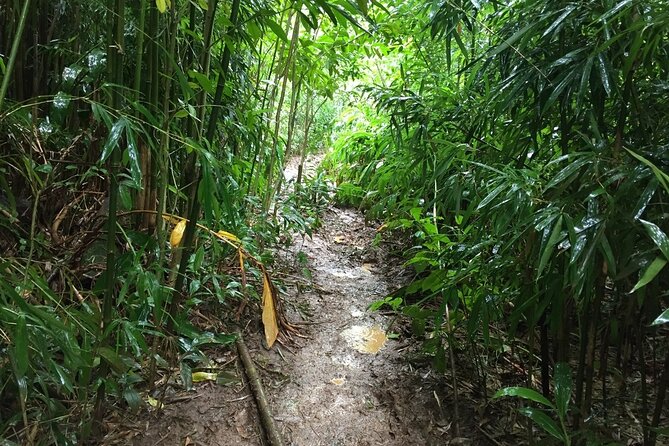 Self guided Hike Trail to Nature Walk & Waterfall - Pickup, timing, and what to bring