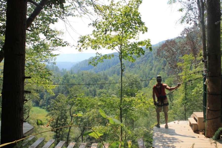 Sevierville: Waterfall Canopy Zip Lining in Smoky Mountains - Seven lines through the Smoky Mountain trees
