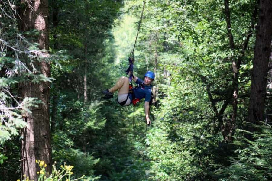 Sevierville: Waterfall Canopy Zip Lining in Smoky Mountains - Who will enjoy this most