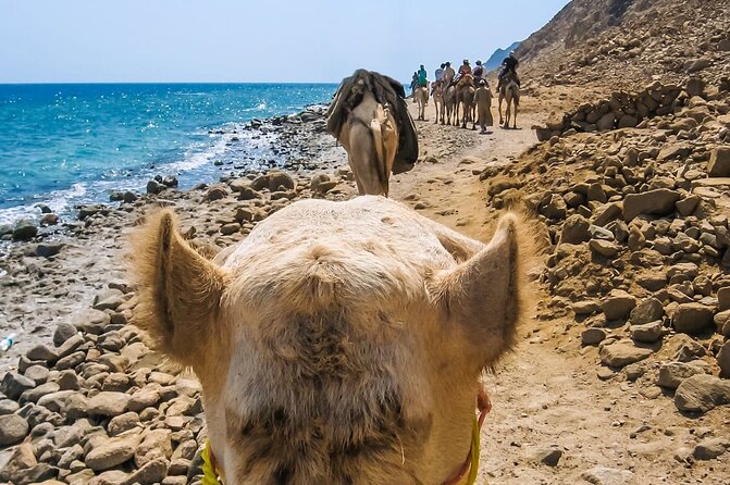 Sharm El Sheikh: Colored Canyon Jeep Tour with Blue Hole & Dahab - A desert-and-sea day from Sharm El Sheikh