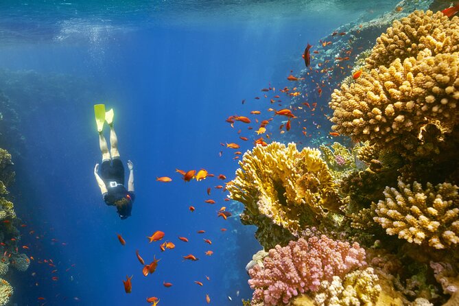 Sharm El Sheikh: Colored Canyon Jeep Tour with Blue Hole & Dahab - Camel rides and optional quad biking