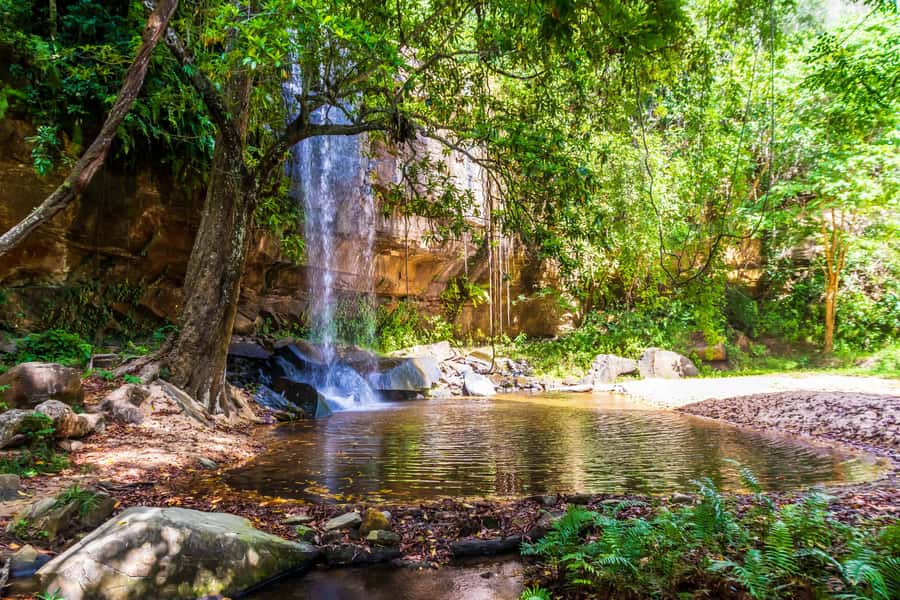 Shimba Hills Day Safari & Sheldrick Falls Hike Private Tour - The early drive from the coast