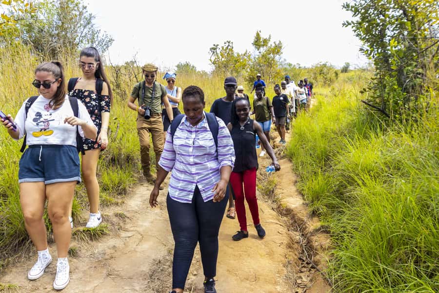 Shimba Hills Day Safari & Sheldrick Falls Hike Private Tour - The first game drive and what weather can change