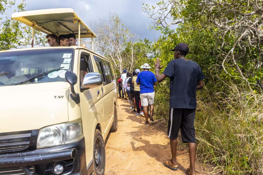 Shimba Hills Day Safari & Sheldrick Falls Hike Private Tour - At the waterfall, scenic reward with a swimming caveat