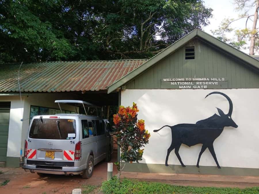 Shimba Hills: Game Drive, Waterfall Hike, and Lunch - Key points at a glance