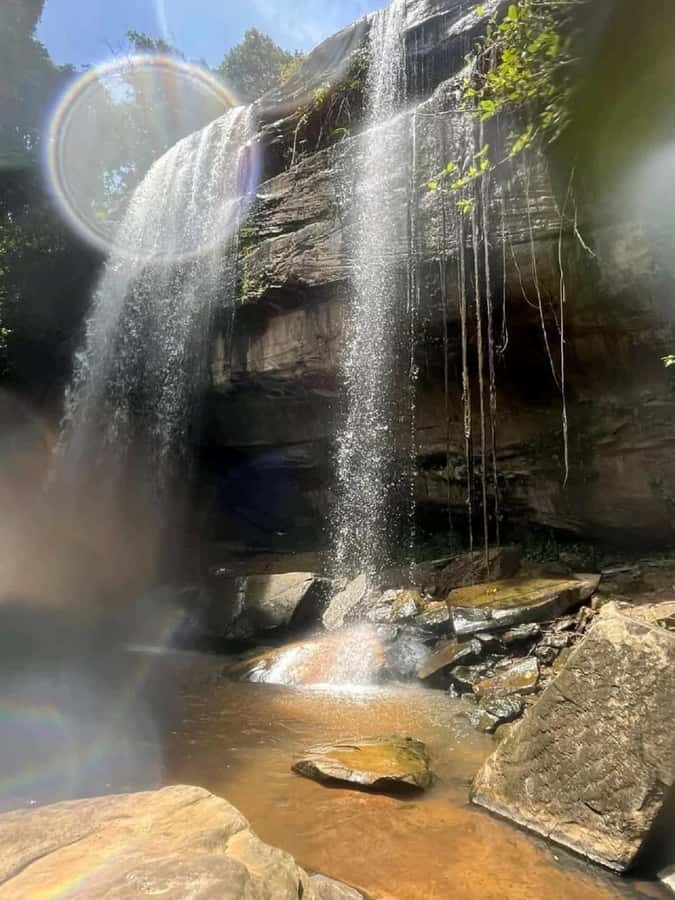 Shimba Hills: Game Drive, Waterfall Hike, and Lunch - Why Shimba Hills makes a good break from the coast