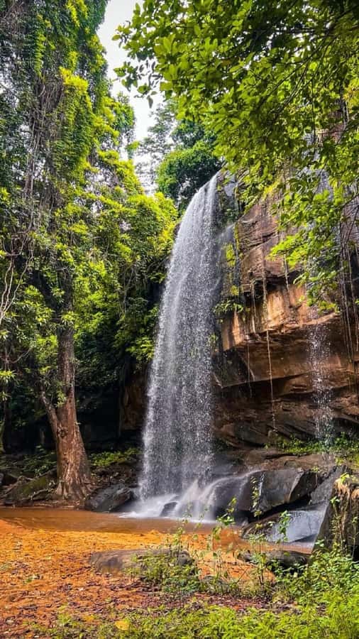 Shimba Hills: Game Drive, Waterfall Hike, and Lunch - The early pickup and one-hour drive