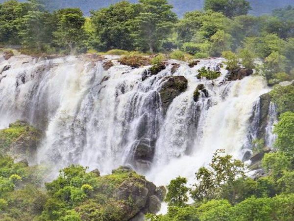 Shivanasamudra Waterfalls & Ancient Somnathpur Tour - Key points to know before booking