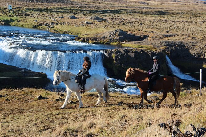Short Riding Tour with Eye-Catching Photos at Waterfall - A short ride with a clear Icelandic payoff
