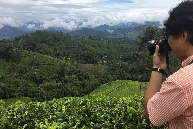 Sightseeing tour Ella & Diyaluma waterfall by car - Why a private car makes sense around Ella