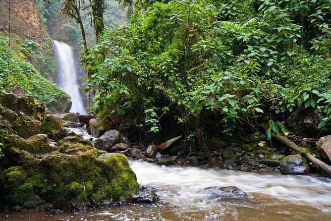 Skip the Line:Day Ticket-La Paz Waterfall Gardens Nature Park & Wildlife Refuge - A compact Costa Rican sampler near San Jose