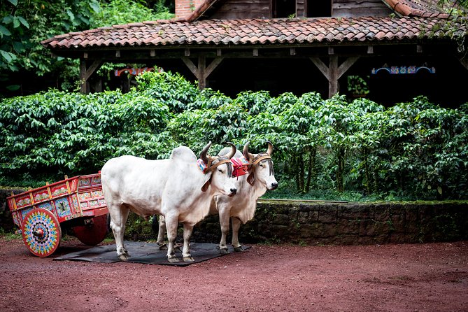 Skip the Line:Day Ticket-La Paz Waterfall Gardens Nature Park & Wildlife Refuge - Who will enjoy this park most?