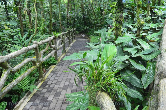 Skip-the-Line La Fortuna Waterfall Admission Ticket - Who will enjoy this most