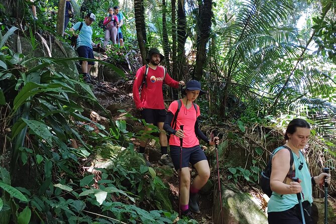 Small Group Hike to Saco Bravo Waterfall - The early start in Paraty