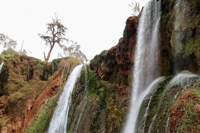 Small group Ouzoud Waterfall Guided Tour Boat Ride from Marrakech - Meeting the macaques near the falls