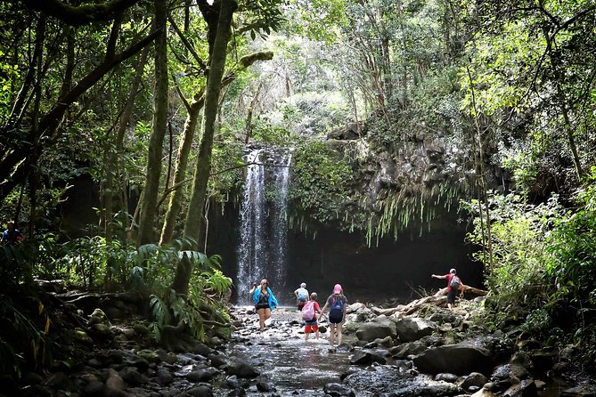 Small Group Waterfall and Rainforest Hiking Adventure on Maui - From Kahului to the Hana Highway
