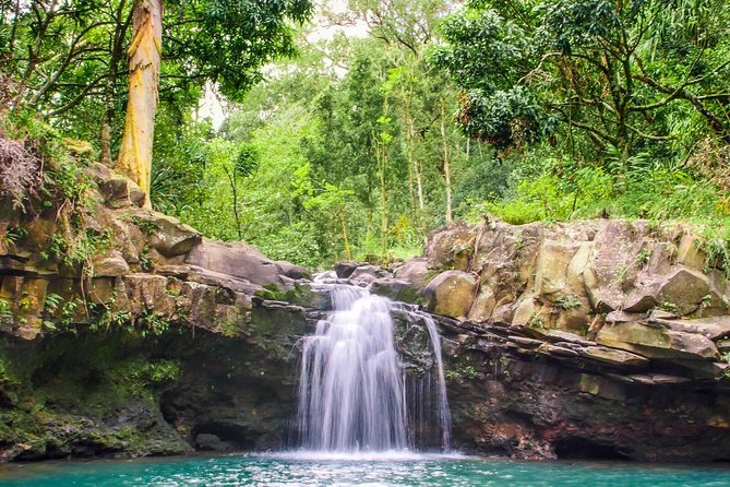 Small Group Waterfall and Rainforest Hiking Adventure on Maui - Plants, fruit, and the story of East Maui